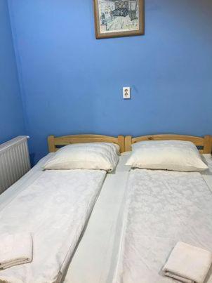 Engi Panzio Bed & Breakfast Ocna de Sus Ngoại thất bức ảnh