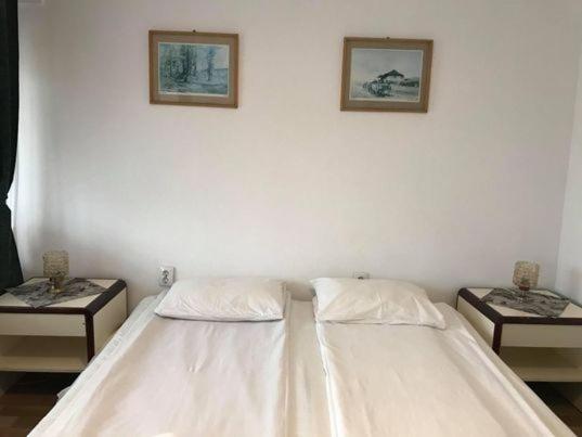 Engi Panzio Bed & Breakfast Ocna de Sus Ngoại thất bức ảnh