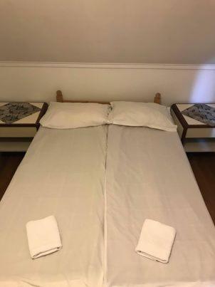 Engi Panzio Bed & Breakfast Ocna de Sus Ngoại thất bức ảnh