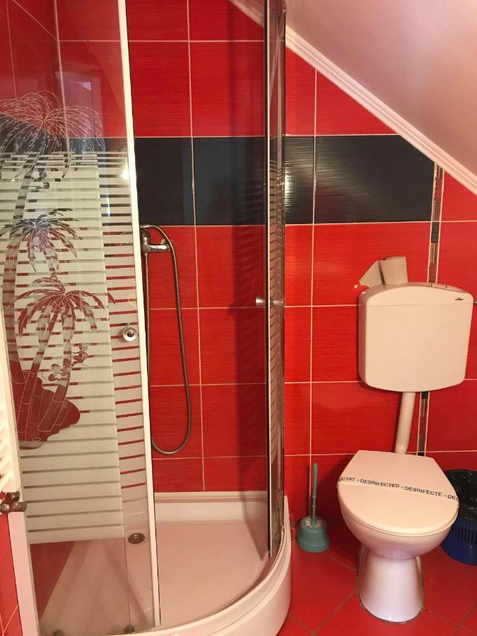 Engi Panzio Bed & Breakfast Ocna de Sus Ngoại thất bức ảnh