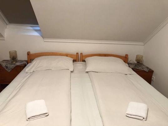Engi Panzio Bed & Breakfast Ocna de Sus Ngoại thất bức ảnh