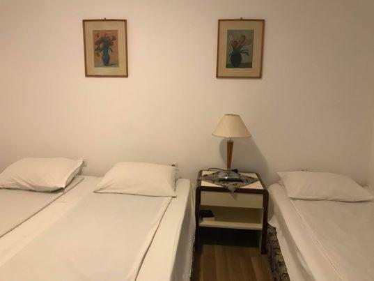 Engi Panzio Bed & Breakfast Ocna de Sus Ngoại thất bức ảnh